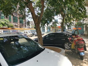 曙光工藝廠宿舍居住體驗與周邊租賃市場觀察